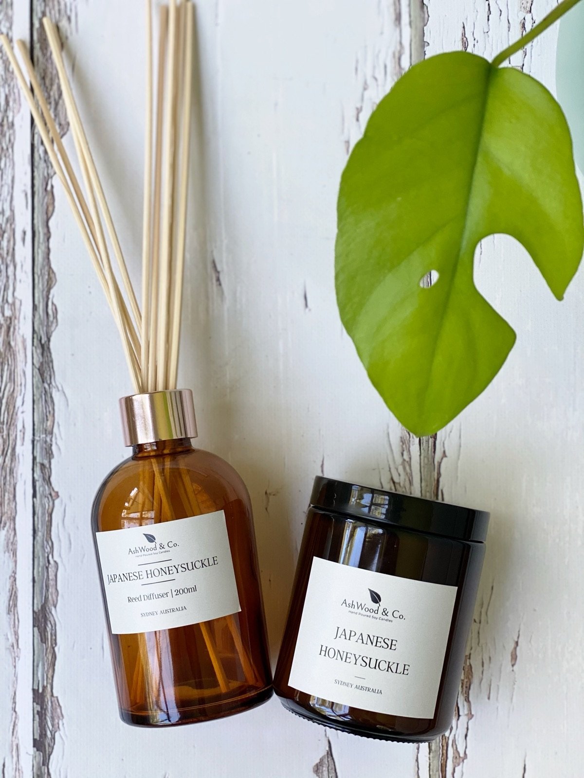 Japanese Honeysuckle Soy Candle + Diffuser Gift Pack - Ashwood & Co. 